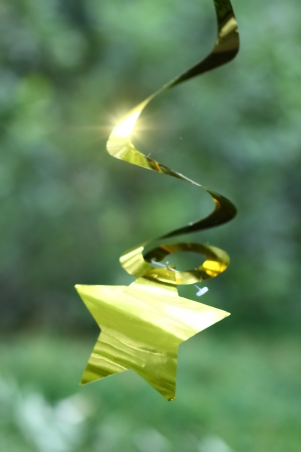 2012 07 13 8020